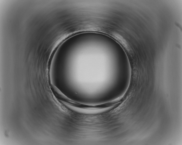 X0000098011332200803281304