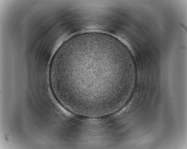 X0000098011333200803281304