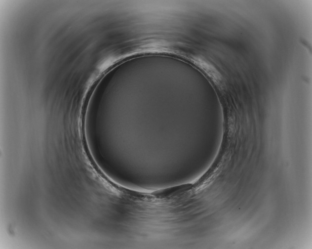 X0000098011334200803281304