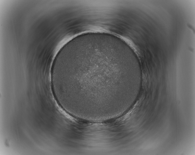 X0000098011335200803281304