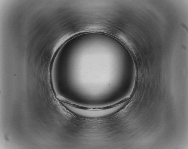 X0000098011336200803281304