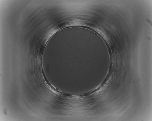 X0000098011337200803281304