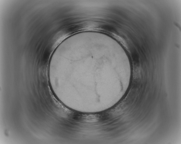 X0000098011338200803281304