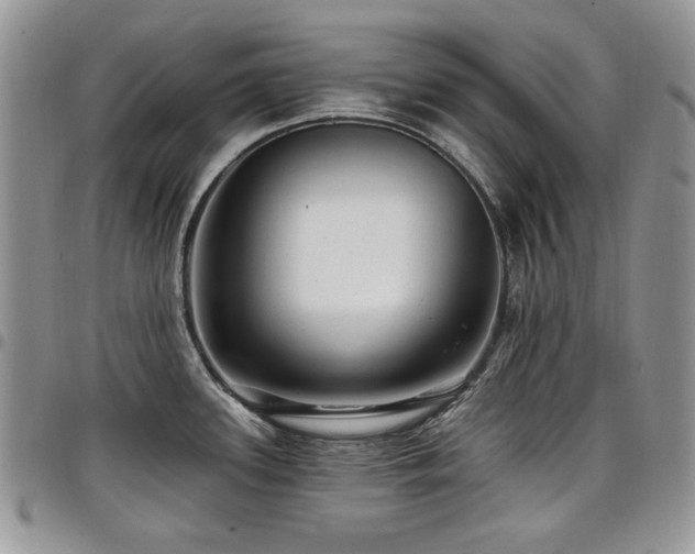 X0000098011339200803281304