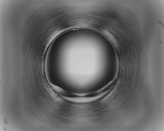 X0000098011340200803281304