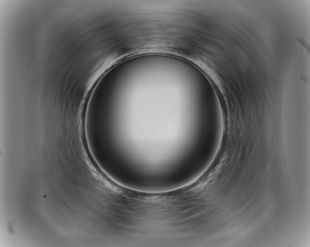 X0000098011341200803281304