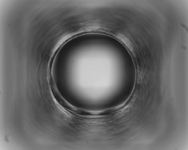 X0000098011342200803281304