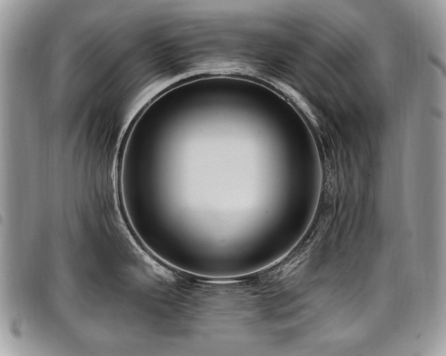 X0000098011343200803281304