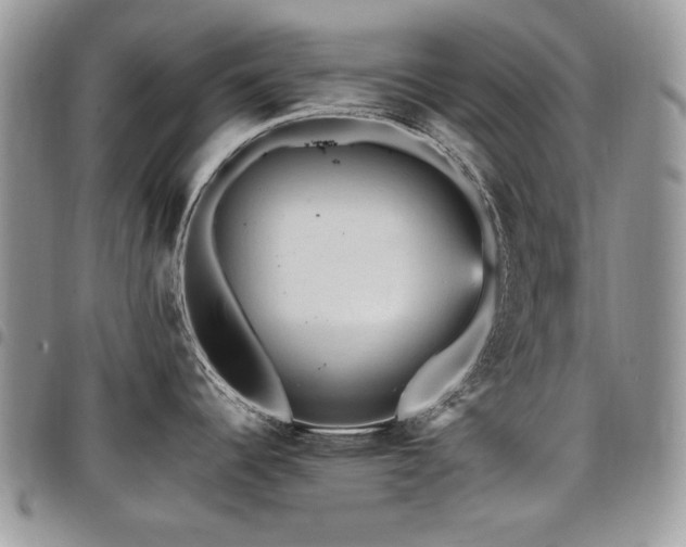 X0000098011344200803281304