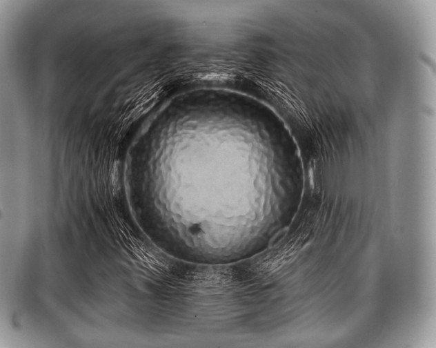 X0000098011347200803281303