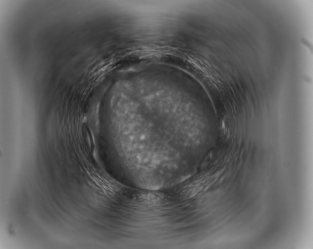 X0000098011348200803281303