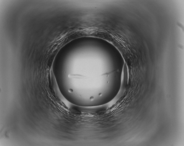 X0000098011349200803281303