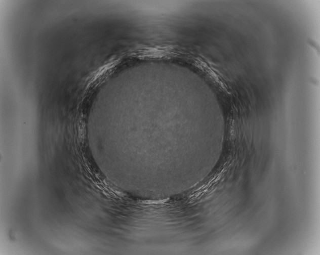 X0000098011350200803281303