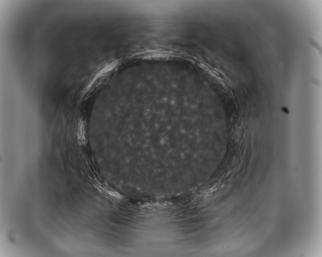 X0000098011351200803281303