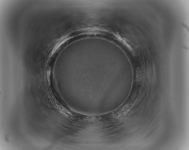 X0000098011352200803281303