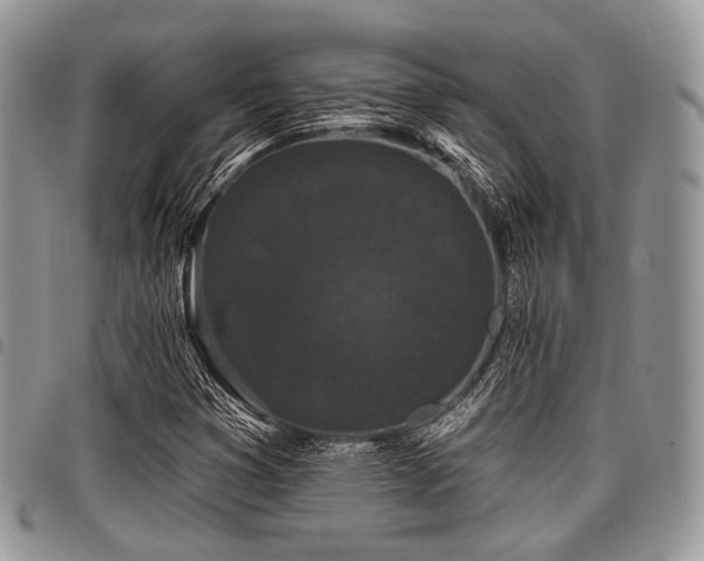 X0000098011353200803281303