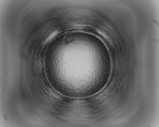 X0000098011354200803281303