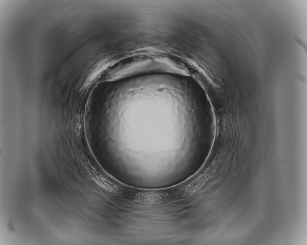 X0000098011355200803281303