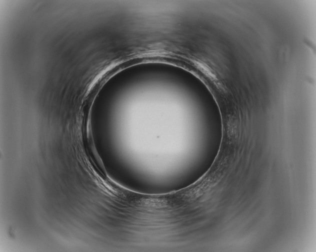 X0000098011356200803281303