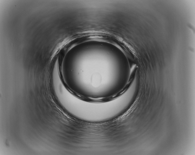 X0000098011357200803281303