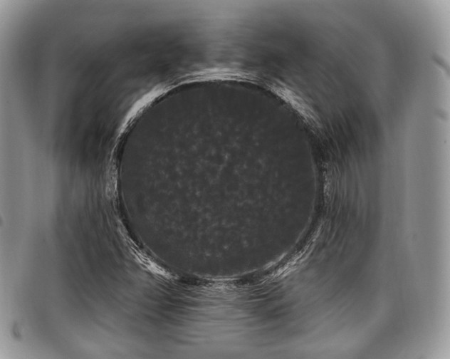 X0000098011358200803281303