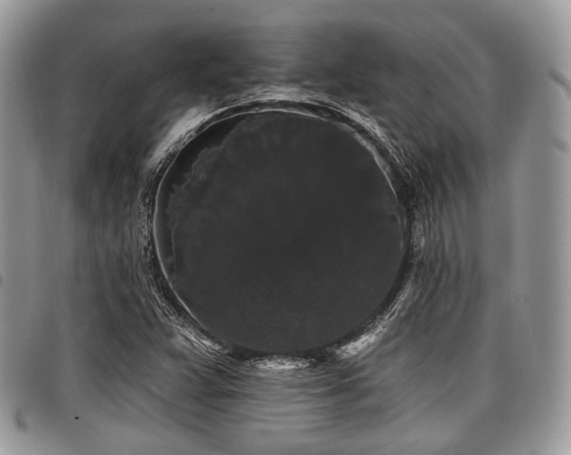 X0000098011359200803281303