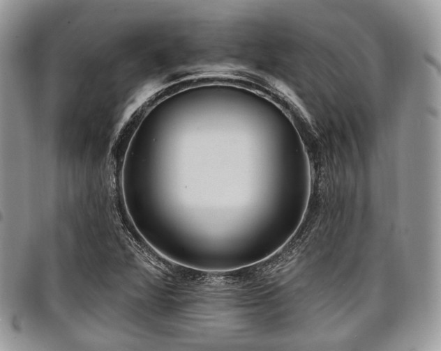 X0000098011360200803281303