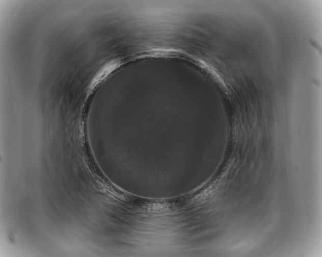 X0000098011362200803281303