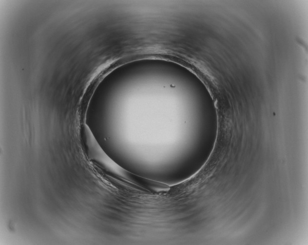 X0000098011364200803281303