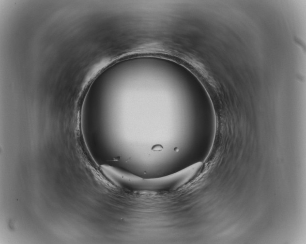 X0000098011366200803281303