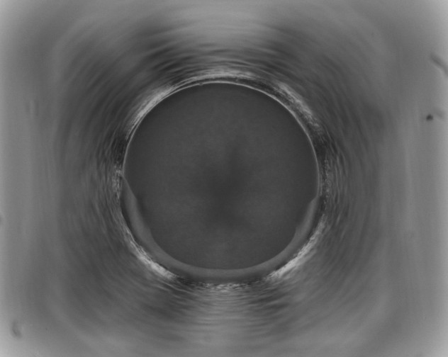 X0000098011369200803281303