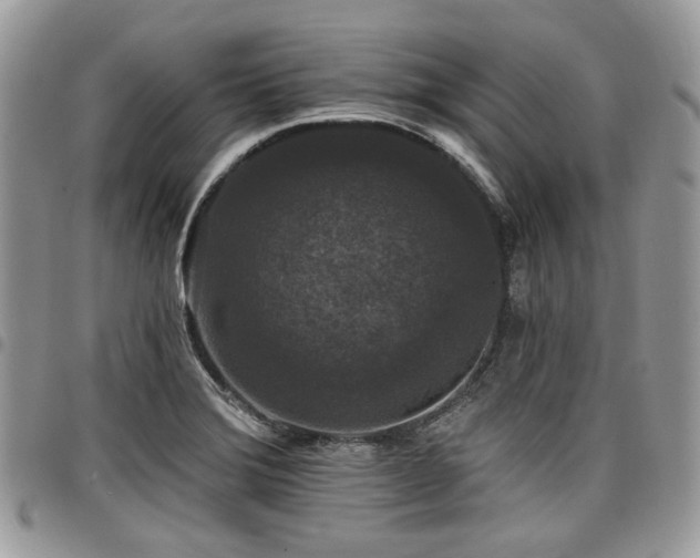 X0000098011372200803281303