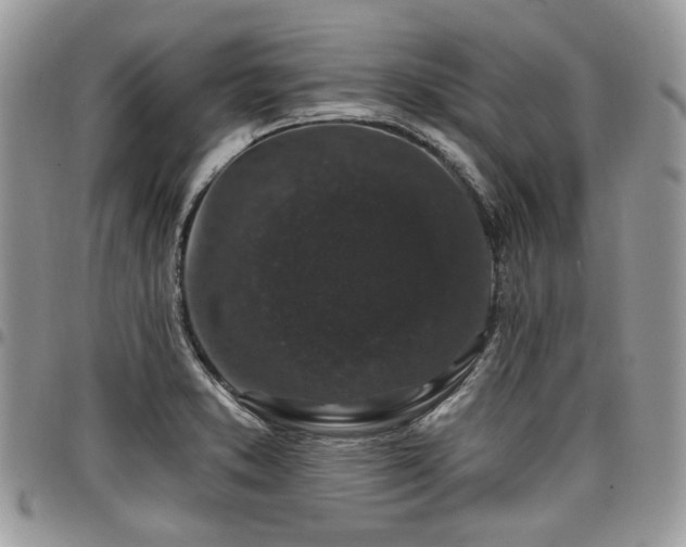 X0000098011373200803281303