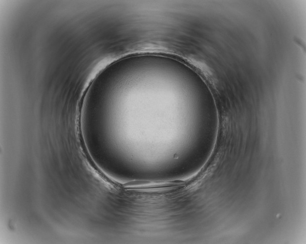 X0000098011374200803281303