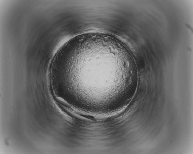 X0000098011375200803281303