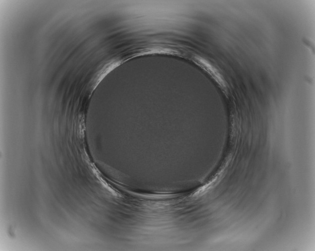 X0000098011377200803281303