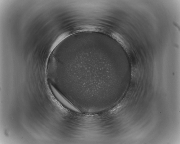 X0000098011378200803281303