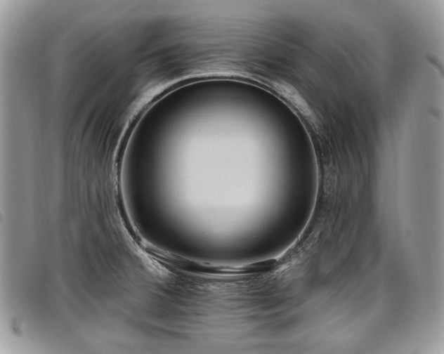 X0000098011380200803281303