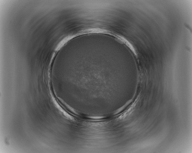 X0000098011381200803281303