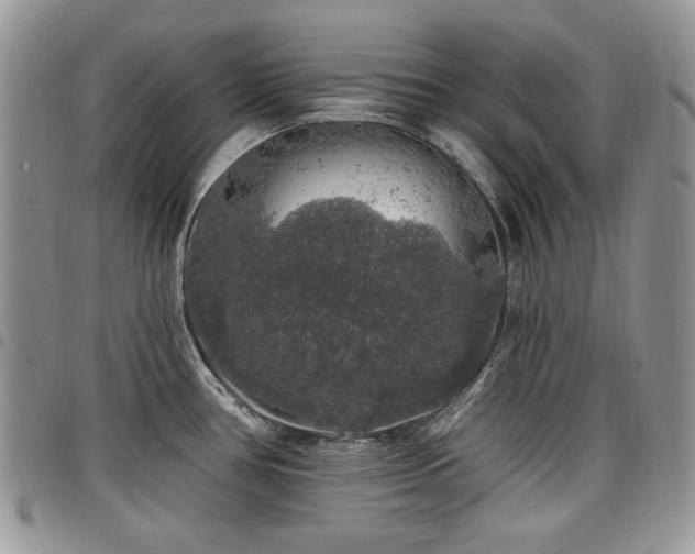 X0000098011386200803281303