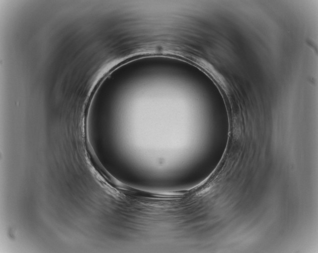 X0000098011388200803281302