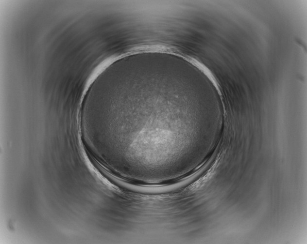 X0000098011389200803281302