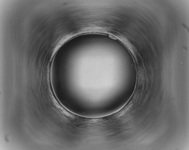 X0000098011390200803281302