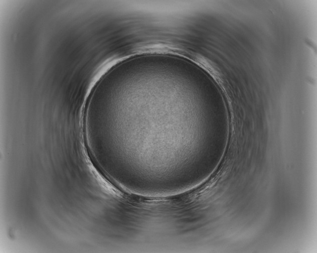 X0000098011392200803281302