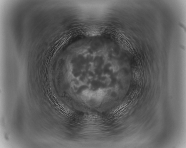 X0000098011393200803281302