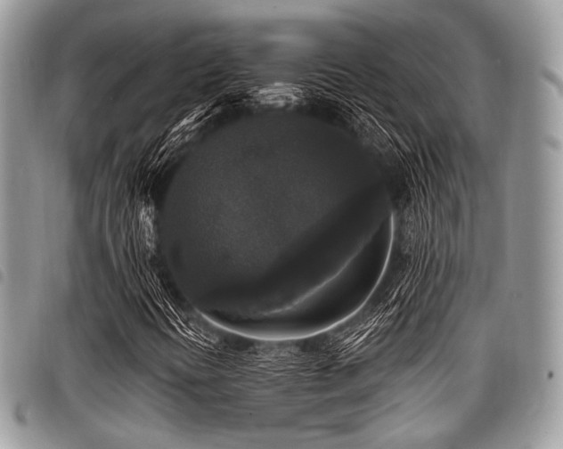 X0000098011394200803281302