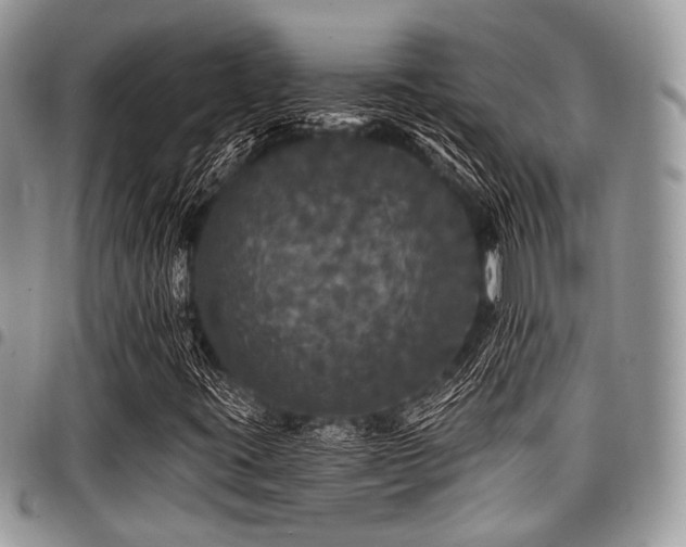 X0000098011395200803281302