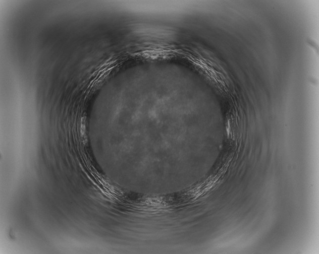 X0000098011396200803281302