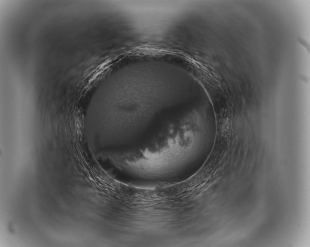 X0000098011397200803281302