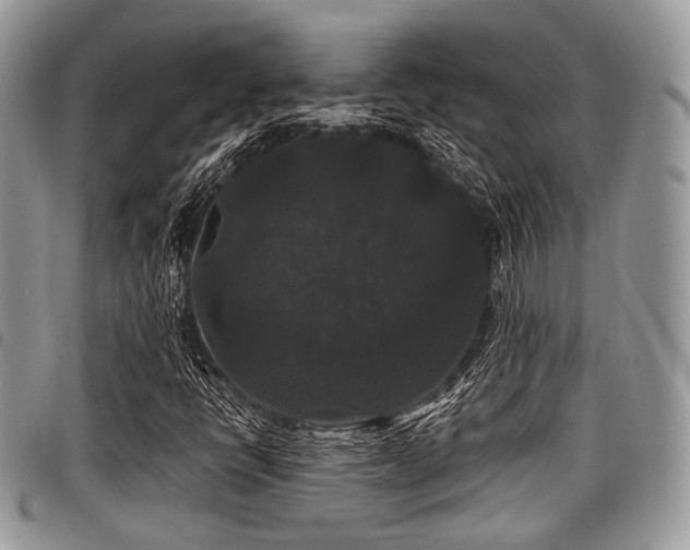 X0000098011398200803281302